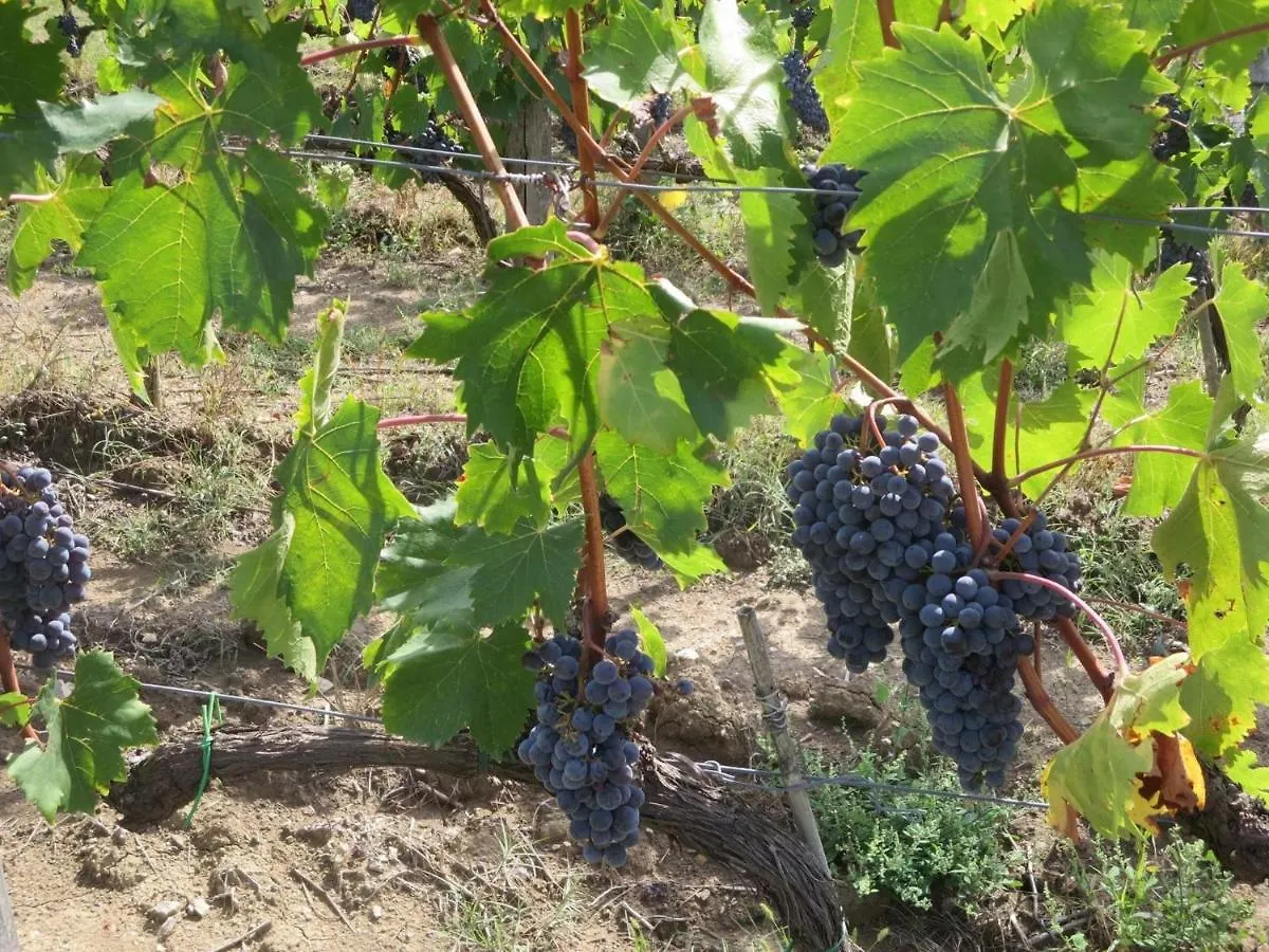 Agriturismo Il Colle Poggio Alla Croce 0*,
